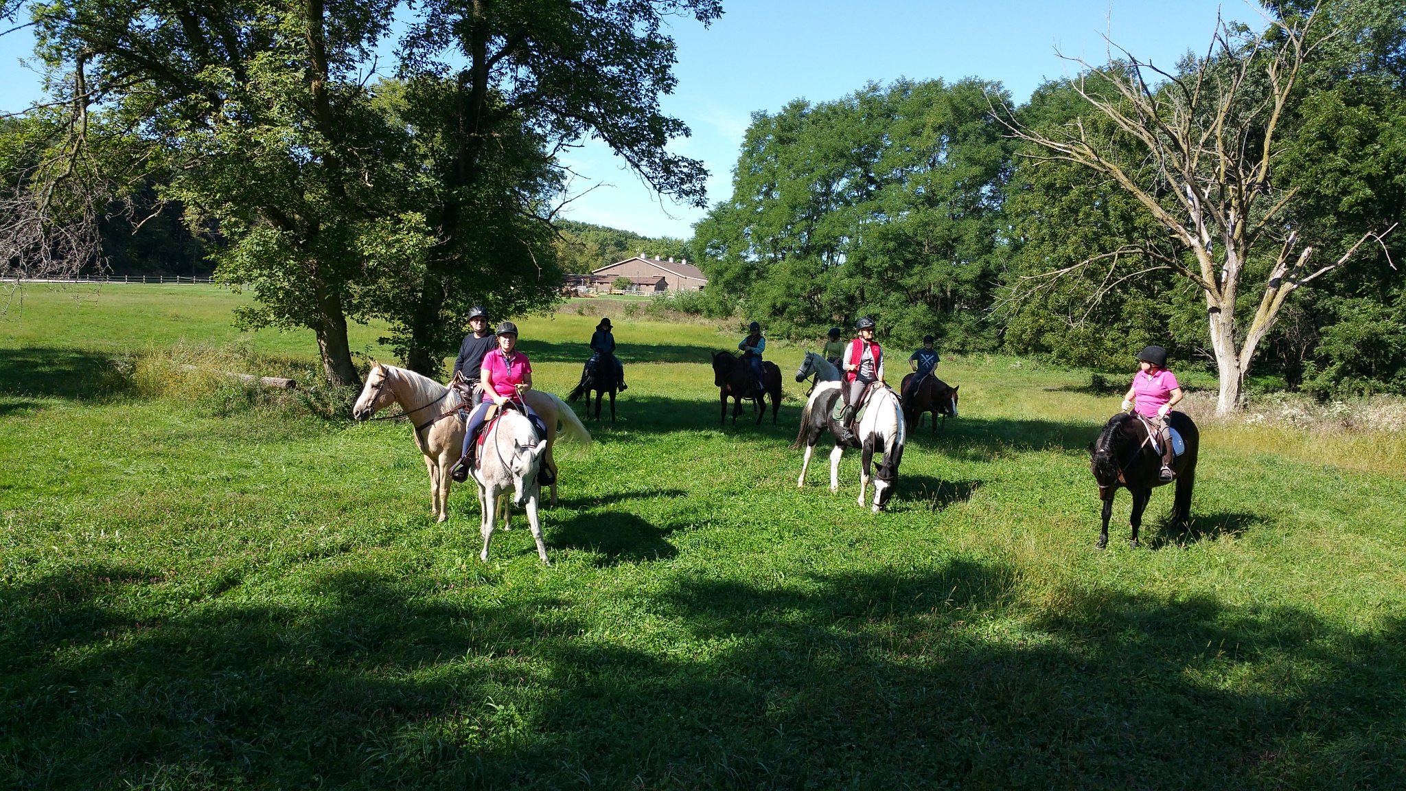 Photos – Riding Club of Barrington Hills